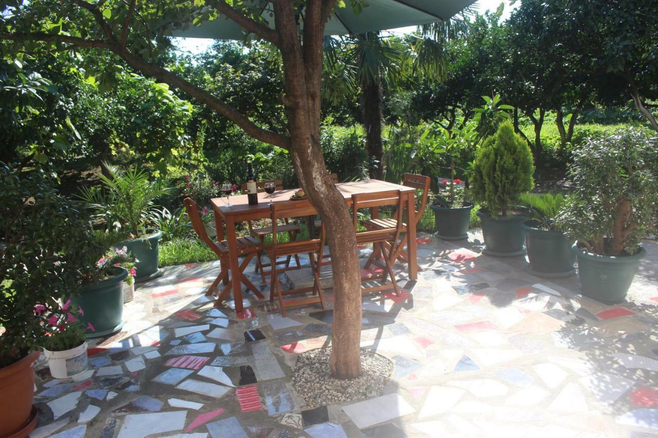Greenview Guesthouse Batoemi Buitenkant foto